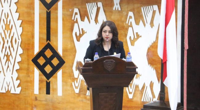 Anggota Fraksi Persatuan Hati Nurani Rakyat DPRD NTT, Lusia Redempta Lana 