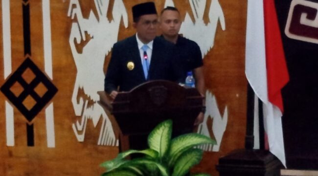 Gubernur NTT, Emanuel Melkiades Laka Lena 