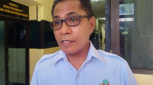 Kepala Balai Pengelolaan Daerah Aliran Sungai (BPDAS) Benain Noelmina, Dolfus Tuames, S.P.