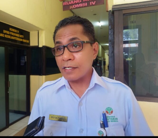 
					Kepala Balai Pengelolaan Daerah Aliran Sungai (BPDAS) Benain Noelmina, Dolfus Tuames, S.P.