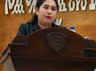 Anggota DPRD NTT, Astria Blandina Gaidaka,