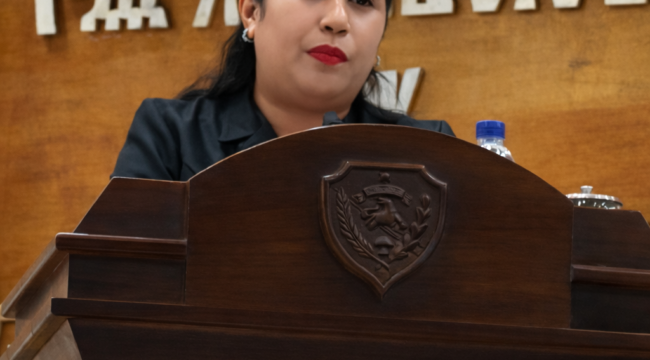 Anggota DPRD NTT, Astria Blandina Gaidaka,