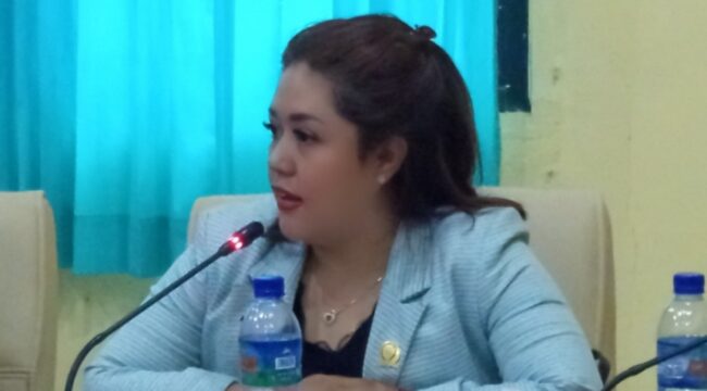 Anggota Komisi V DPRD NTT, Luisa R. Yosheline Lana, SH